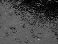 La pluie gâchera-t-elle la dernière journée des tests Dunlop et Bridgestone ?