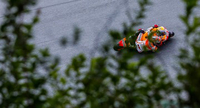 Sachsenring, MotoGP, course : Autre circuit, même tarif...et de 9 pour Marquez !