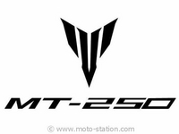 News moto 2015 : Bientôt une Yamaha MT-250... ou MT-320 ?