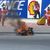 Sepang, MotoGP, FP3 : Dani Pedrosa reste le plus fort, Pol Espargaro chute lourdement sur son huile.