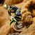 Kawasaki KX450F 2016 : Les premières images !