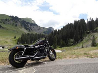 1. Essai Harley-Davidson Forty-Eight 2015 : révisons nos classiques