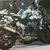 Une KTM Duke 800 étoffera sans doute la gamme des roadsters