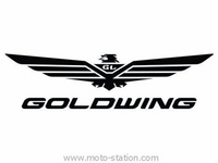 Nouvelles Goldwing et Fireblade : Enfin en 2016 ?
