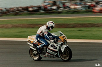 Bref historique de la compétition à Phillip Island : un circuit sauvé par la moto !