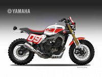 Yamaha XSR 900 Oberdan Bezzi : à toutes les sauces !