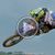 Motocross Elite 2016, Castelnau : Résumés Vidéo