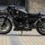 Battle of the Kings 2016 - Harley-Davidson Athènes vainqueur avec sa Sportster Iron 883