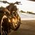Ducati XDiavel Roland Sands Design : Le diable s'habille en RSD