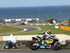Moto2 Phillip Island Qualifications : Luthi se mouille