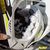 Motorex Helmet care et Protex Spray - Pour nettoyer et imperméabiliser