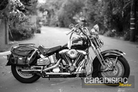 280 000 euros pour la Harley de Johnny
