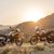 EICMA 2018 - BMW F 750 GS et F 850 GS - Les enduros de voyage évoluent