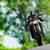 Actualité Moto Ducati Streetfighter 848 en vidéos et photos