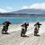 Dakar 2012, moto, étape 6 : Annulée