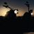 News moto 2012 : Harley-Davidson Sportster Seventy Two et Softail Slim