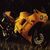 8 commentaires pour "Triumph Daytona 900 Super III (1994 à 1996)"