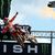 Vidéo : Le résumé MX1/MX2