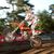Antonio Cairoli domine la manche qualificative