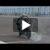 Chris McNeil : Drift et Stunt au guidon d'une S1000RR