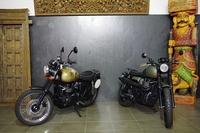 Scrambler Lilly et Scrambler Kaki Mat Army par Triumph Montlhéry