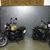 Scrambler Lilly et Scrambler Kaki Mat Army par Triumph Montlhéry