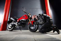 Actualité moto Honda : Micro moto ? non MSX 125 ! 100 cm3 Actualités motos Honda Scooter Caradisiac Moto Caradisiac.com
