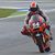 Moto2 à Assen, essais libres : Espargaro sur le sec, Pasini sous la pluie