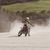 Vidéo : Valentino Rossi en mode dirt track dans son ranch