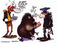 Vidéo : un ours comme argument de sécurité routière ?