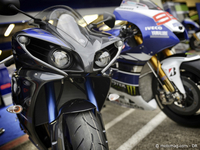 Yamaha 2014 : R1, R6, MT-09,FZ1, FZ8 et XJ6 en " coloris MotoGP "
