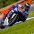 MotoGP : Lorenzo : 1 - la Mouette : 0 (+vidéos)