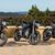 Zero Motorcycles FX, DS, S et SR