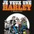 "Je veux une Harley" tome 1 et 2 par Franck Margerin et Marc Cuadrado